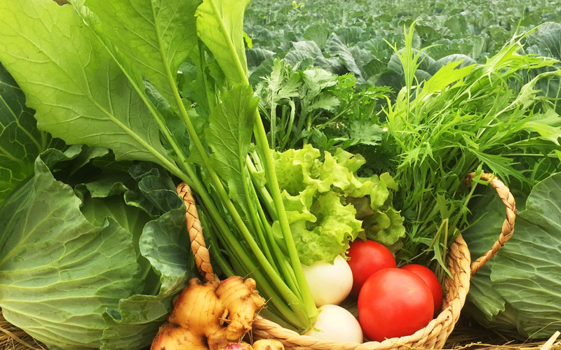 庄川おんせん野菜